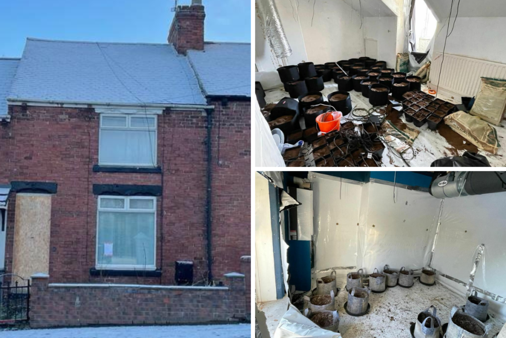 A house in England was up for sale, and the pictures that were shared online showed that it had once been a cannabis farm, leading to shockwaves reverberating over the internet.