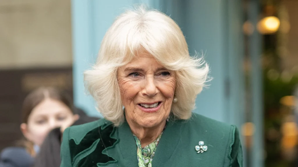 Queen Camilla said to well-wishers King Charles was "doing very well" on a journey to Northern Ireland.